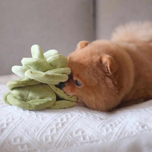 Pups & Bubs Cabbage Enrichment Nose-Work Toy