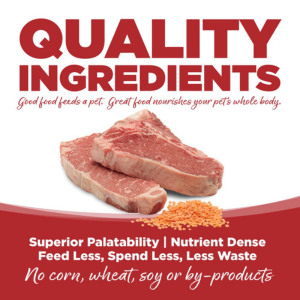 PureVita Grain-Free Beef & Lentil Dry Dog Food - Mutts & Co.