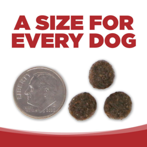 PureVita Grain-Free Beef & Lentil Dry Dog Food - Mutts & Co.