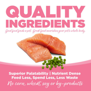 PureVita Grain-Free Salmon Entree Dry Cat Food - Mutts & Co.