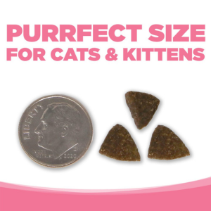PureVita Grain-Free Salmon Entree Dry Cat Food - Mutts & Co.