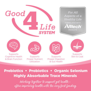 PureVita Grain-Free Salmon & Pea Dry Dog Food - Mutts & Co.