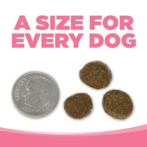 PureVita Grain-Free Salmon & Pea Dry Dog Food - Mutts & Co.