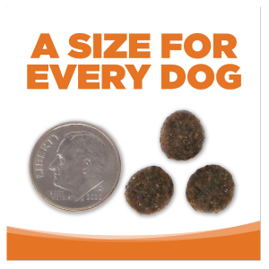 PureVita Grain-Free Venison & Red Lentil Dry Dog Food