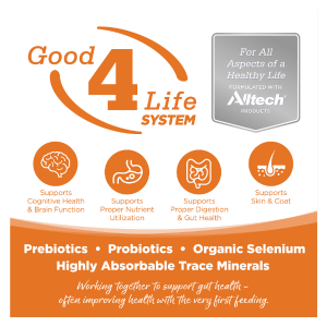 PureVita Grain-Free Venison & Red Lentil Dry Dog Food