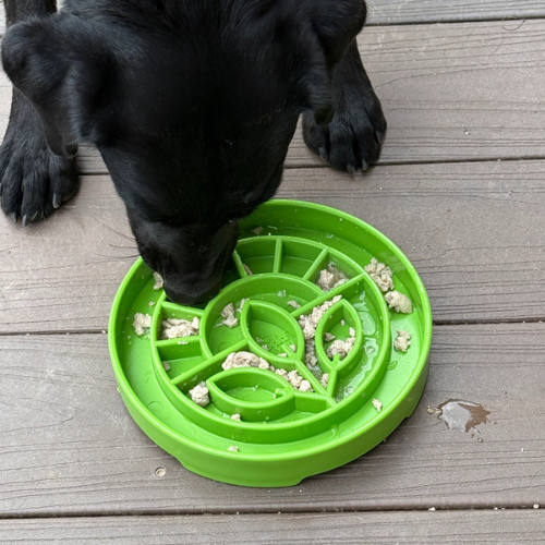 SodaPup Enriching Slow Feeder Garden Design Etray for Dogs Apple Green