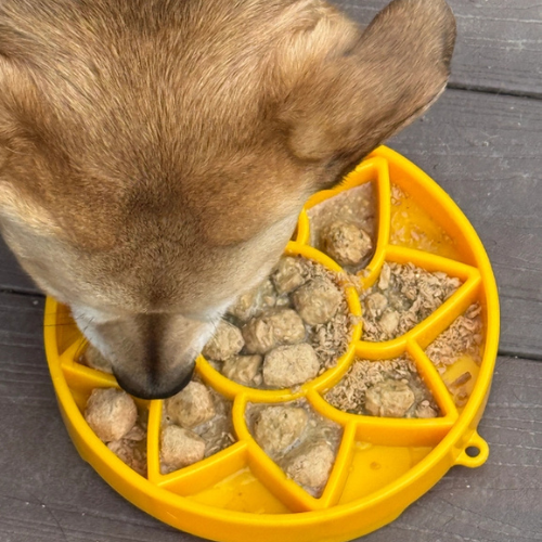 SodaPup Enriching Slow Feeder Sunflower Ebowl for Dogs Yellow
