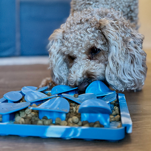 Tall Tails Rock Foraging Mat for Dogs