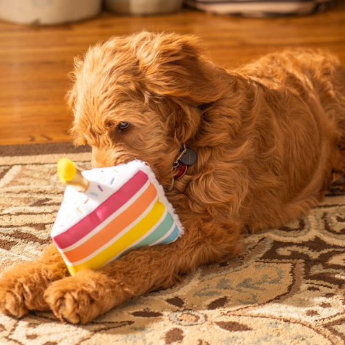 Thoozypet Birthday 5-Layer Cake Plush Dog Toys 8"