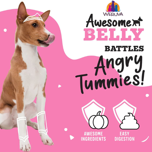 Weruva Awesome Functions Belly Chicken & Rice Canned Dog Food