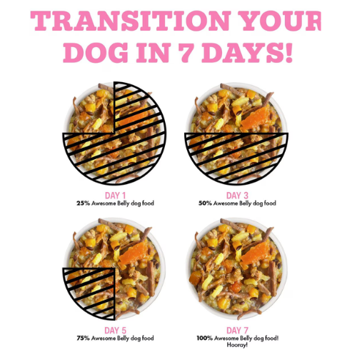 Weruva Awesome Functions Belly Beef & Rice Canned Dog Food