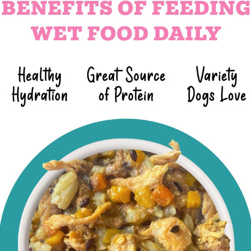 Weruva Awesome Functions Belly Chicken & Vegetable Canned Dog Food