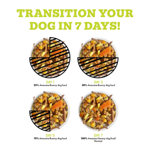 Weruva Awesome Functions Bouncy Chicken & Riceberry Canned Dog Food