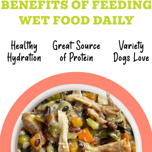 Weruva Awesome Functions Bouncy Chicken, Riceberry & Veggies Canned Dog Food