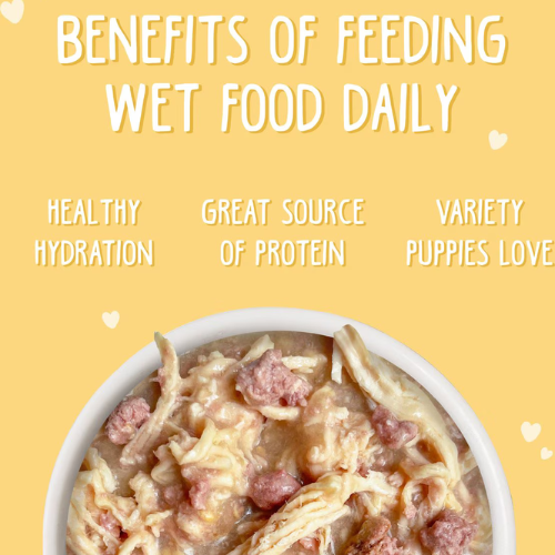 Weruva Puppy Chicken Formula Canned Dog Food