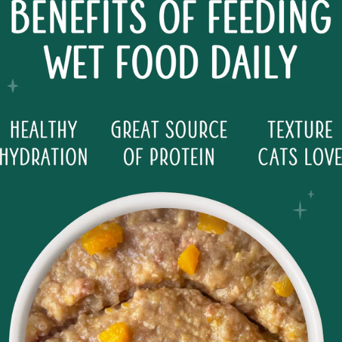 Weruva Senior Chicken Formula in Hydrating Puree Canned Cat Food