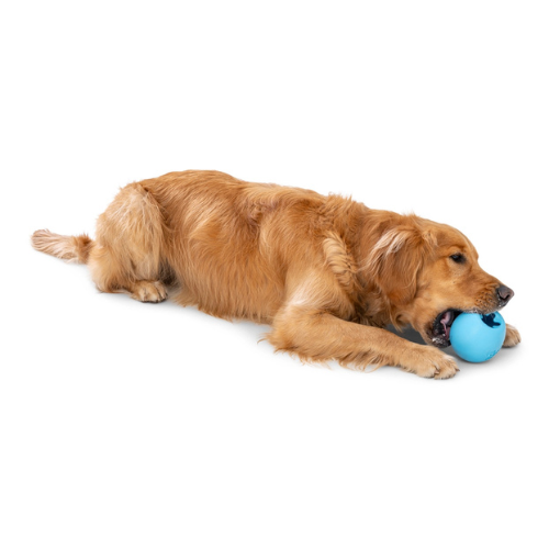 West Paw Design Rumbl Dog Toy Aqua Blue
