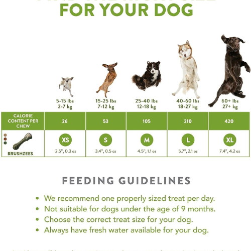 Whimzees Brushzees Dental Chews Natural Grain-Free Dental Dog Treats