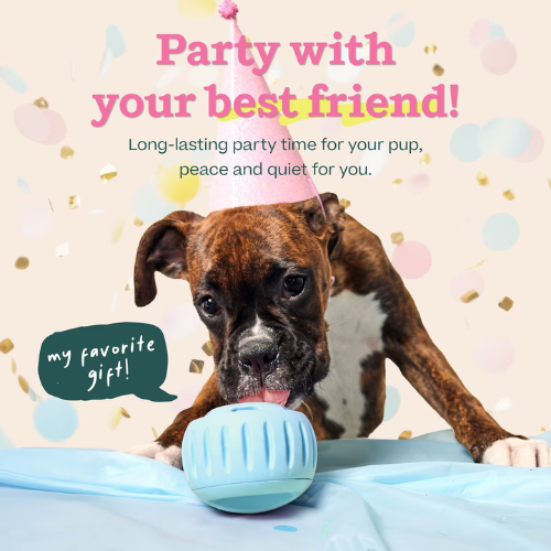 Woof Pet Pupsicle Birthday Buddy Blue Dog Toy