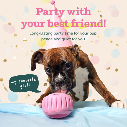 Woof Pet Pupsicle Birthday Party Pink Dog Toy