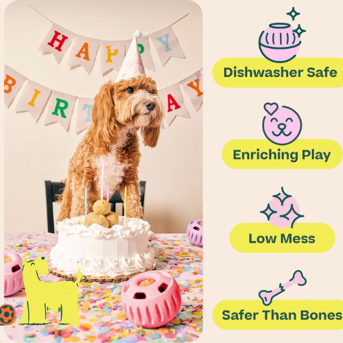 Woof Pet Pupsicle Birthday Party Pink Dog Toy