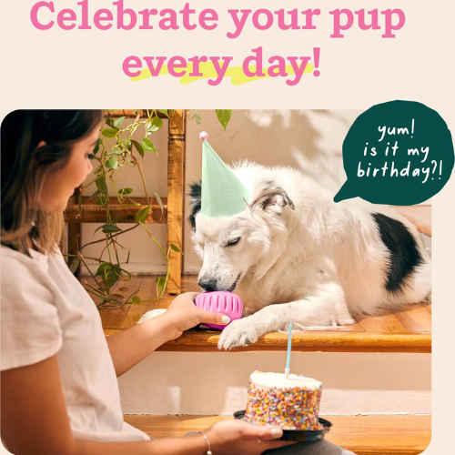 Woof Pet Pupsicle Birthday Party Pink Dog Toy