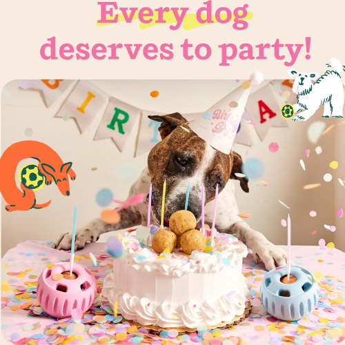 Woof Pet Pupsicle Birthday Buddy Blue Dog Toy