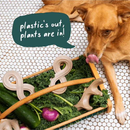 Woof Pet Honest Chew, Antler Dog Chew