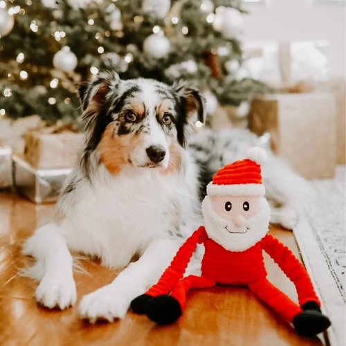 ZippyPaws Holiday Crinkle Santa Plush Dog Toy