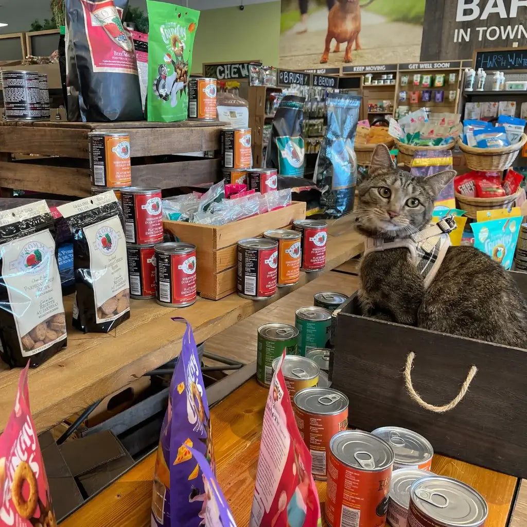 cat food columbus
