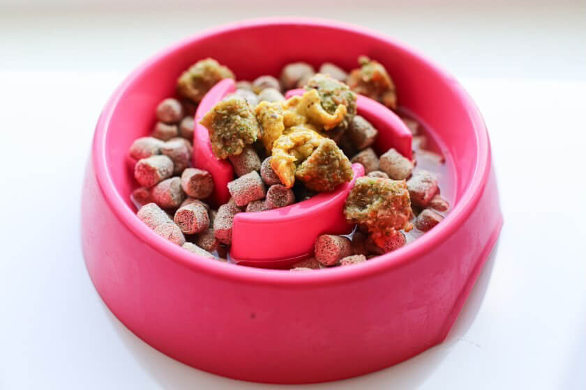 dog food near dublin