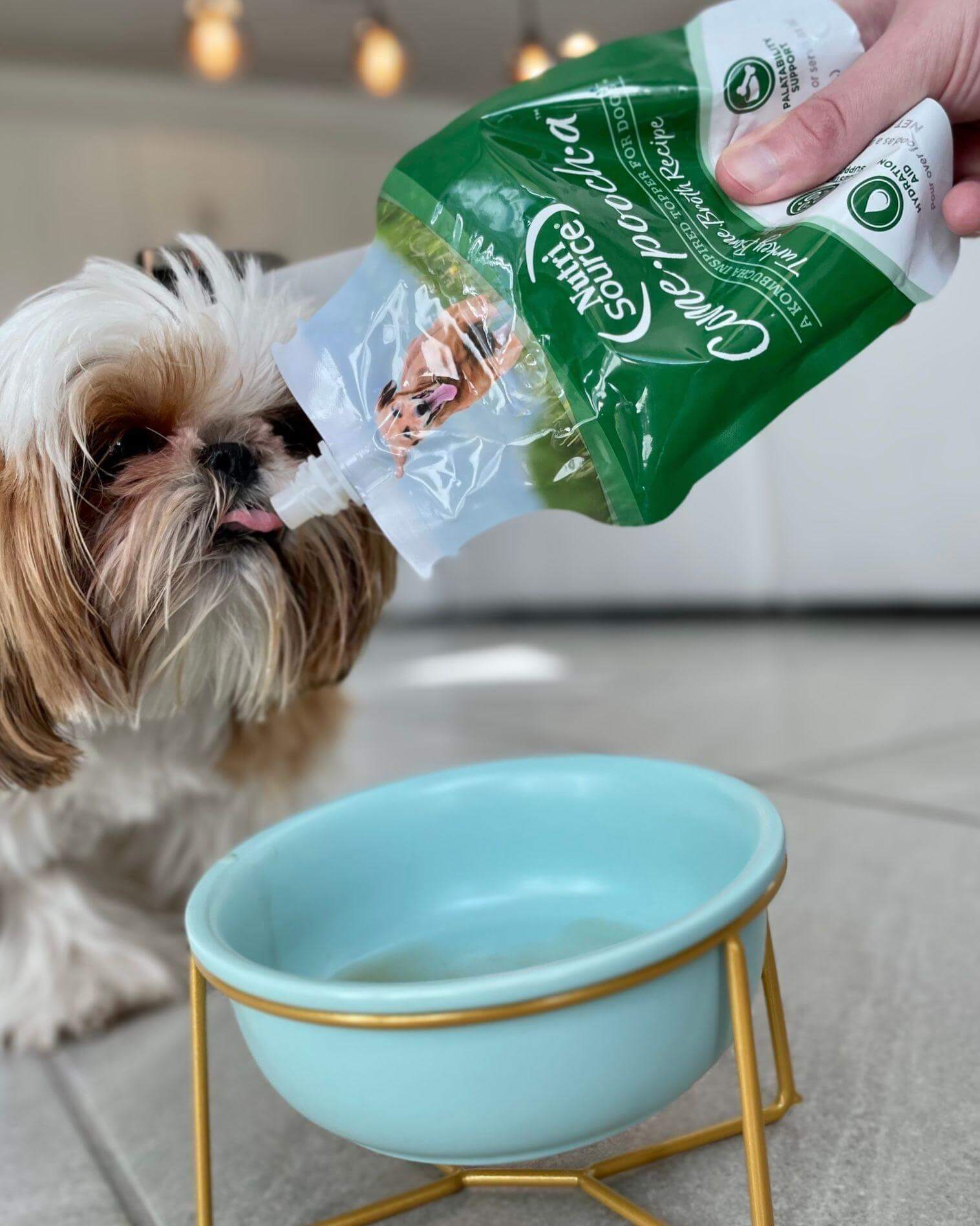 wet dog food columbus