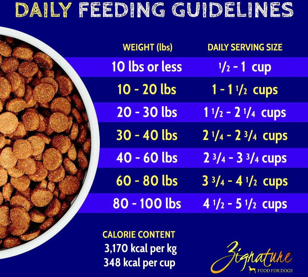 Zignature Pork Limited Ingredient Formula Dry Dog Food - Mutts & Co.