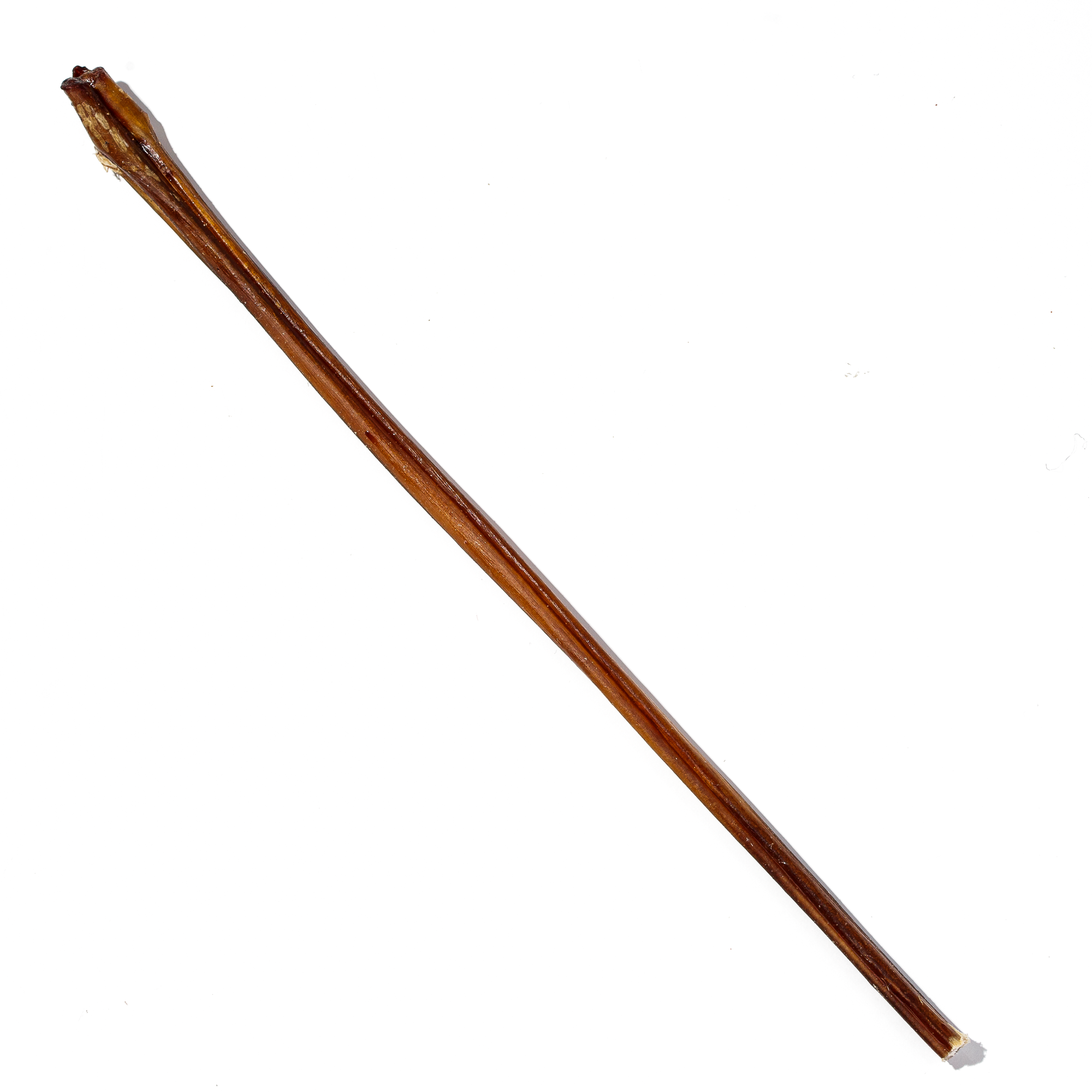 Boneanza Treat Co. Low Odor Standard Bully Stick 12" Single - Mutts & Co.