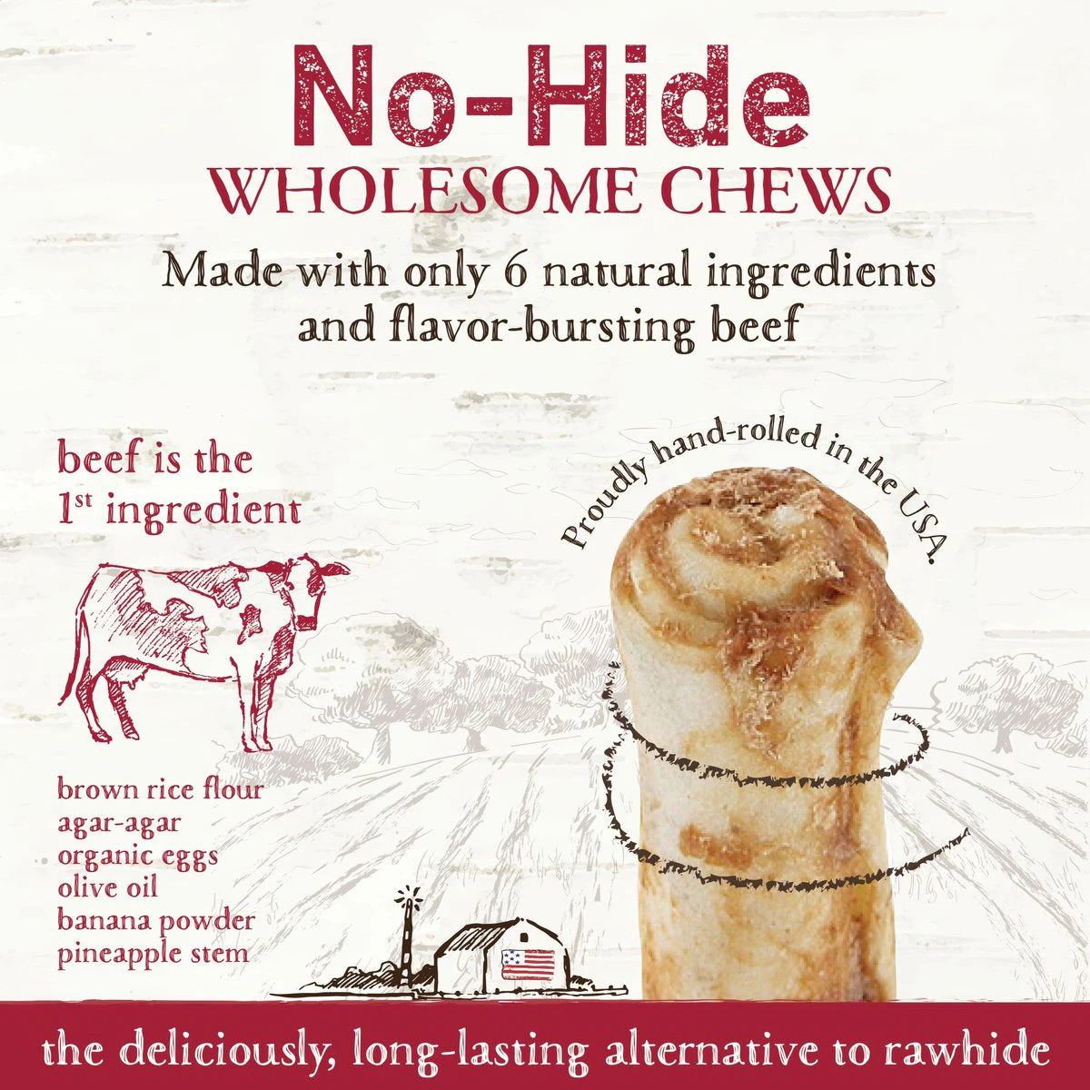 Earth Animal No Hide Beef Stix Dog Treats 10pk - Mutts & Co.