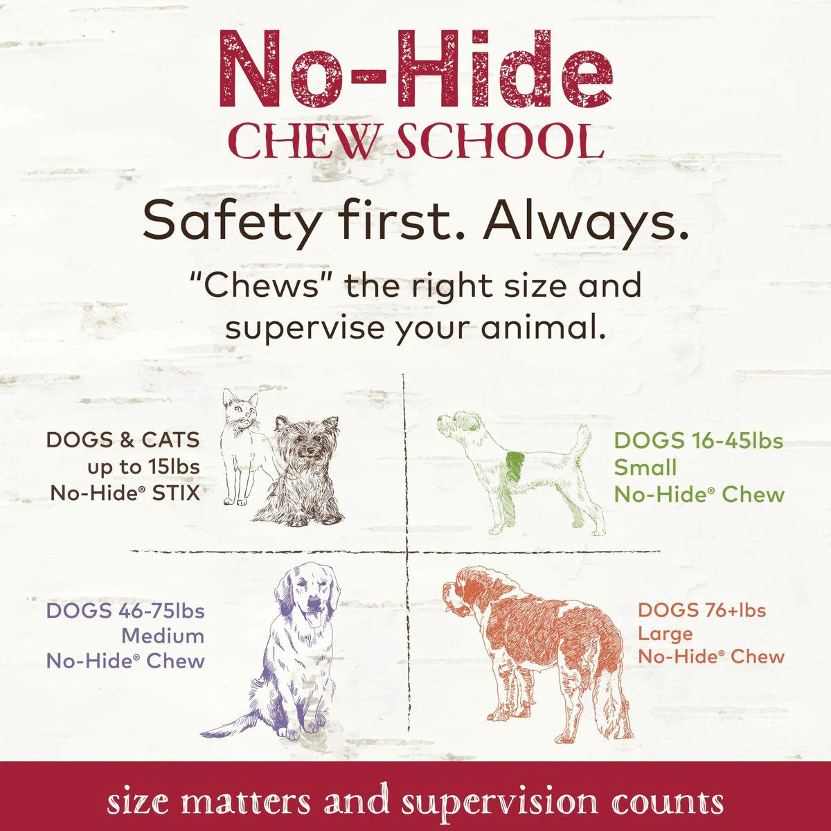 Earth Animal No Hide Beef Stix Dog Treats 10pk - Mutts & Co.