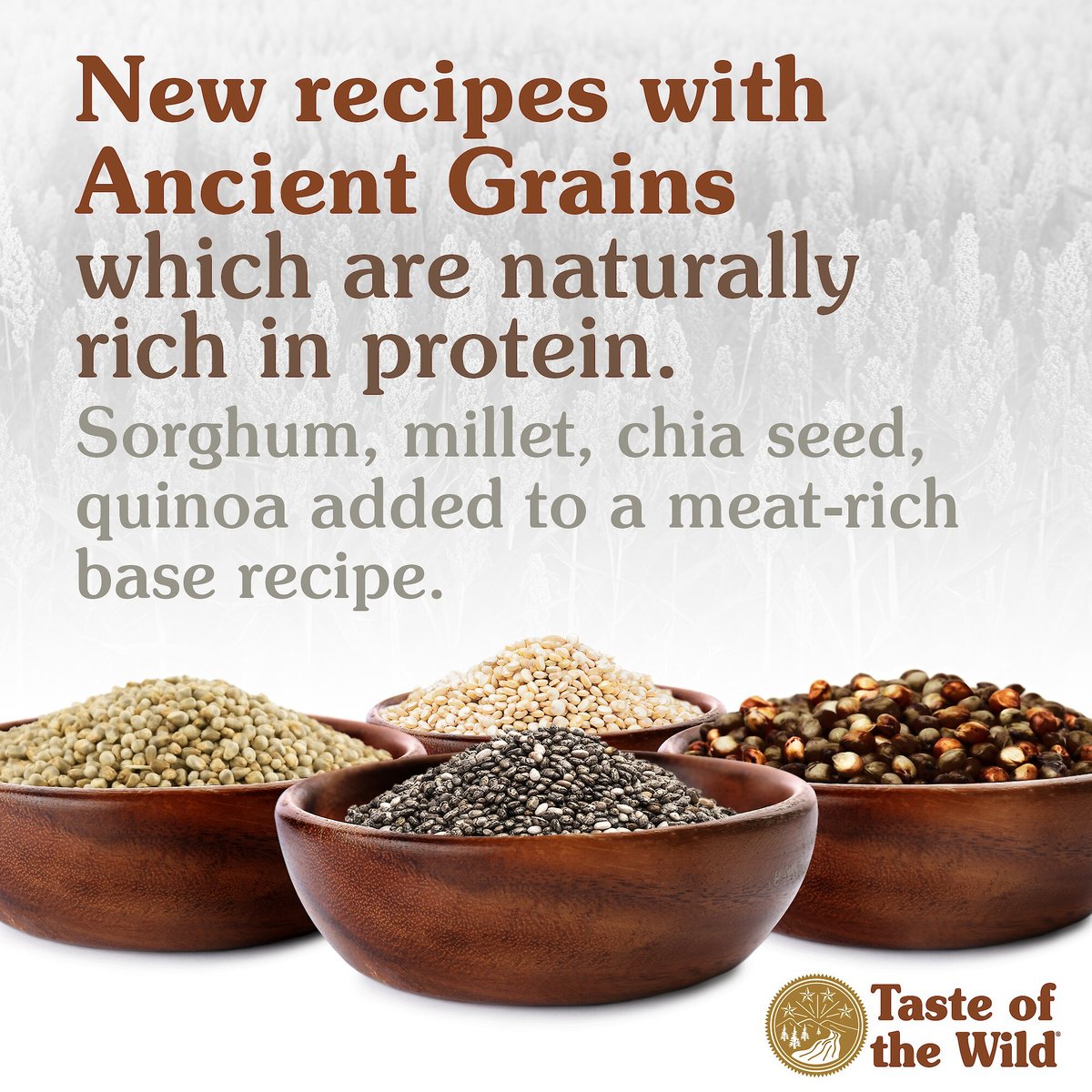 Taste Of The Wild Ancient Prairie Dog Food - Mutts & Co.