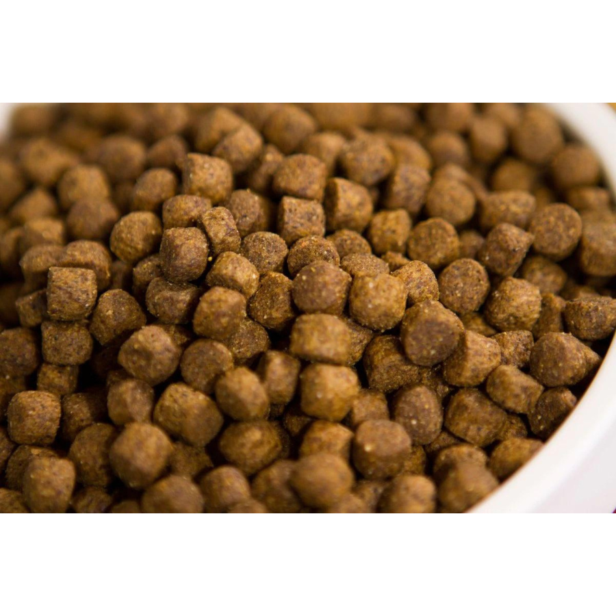 Dr. Gary's Best Breed Holistic Field & Stream Recipe Dry Dog Food - Mutts & Co.