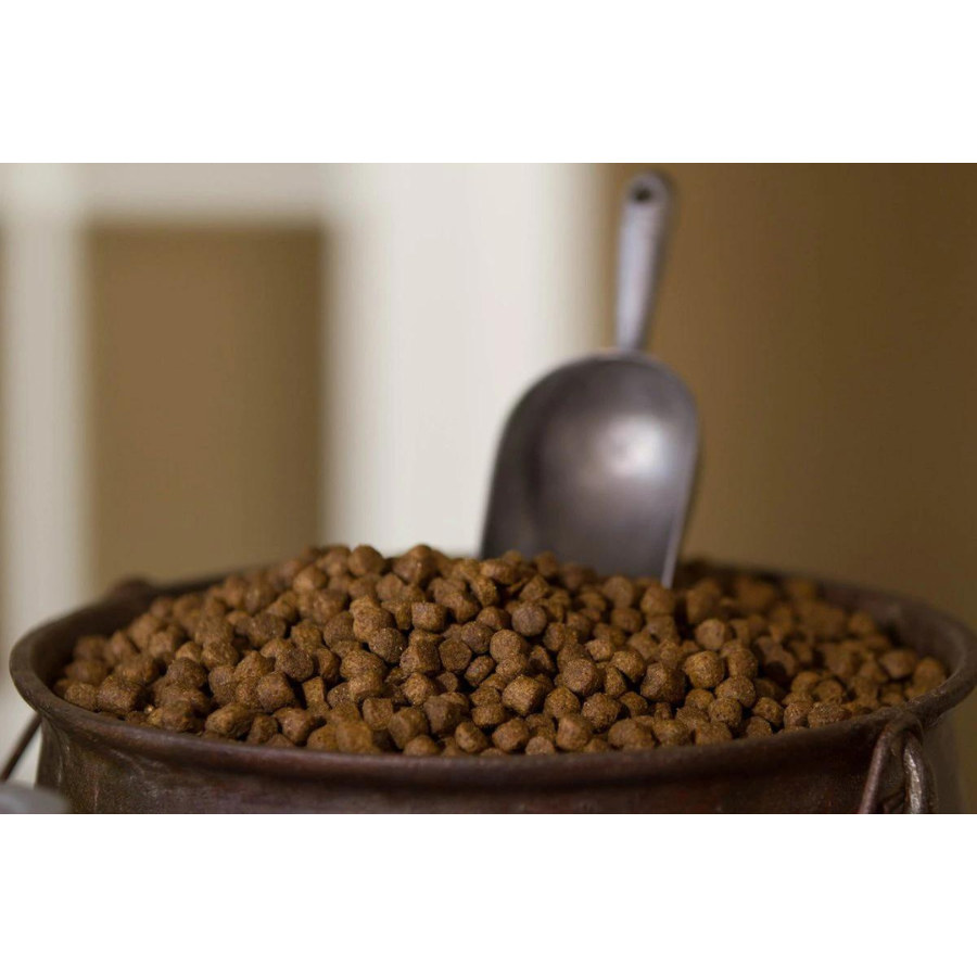 Dr. Gary's Best Breed Holistic Grain-Free Red Meat Recipe Dry Dog Food - Mutts & Co.