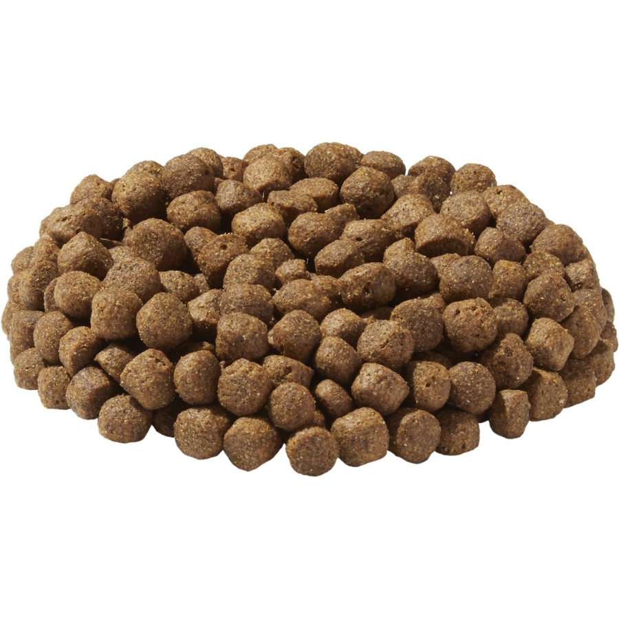 Dr. Gary's Best Breed Holistic Senior Reduced Calorie Dry Dog Food - Mutts & Co.