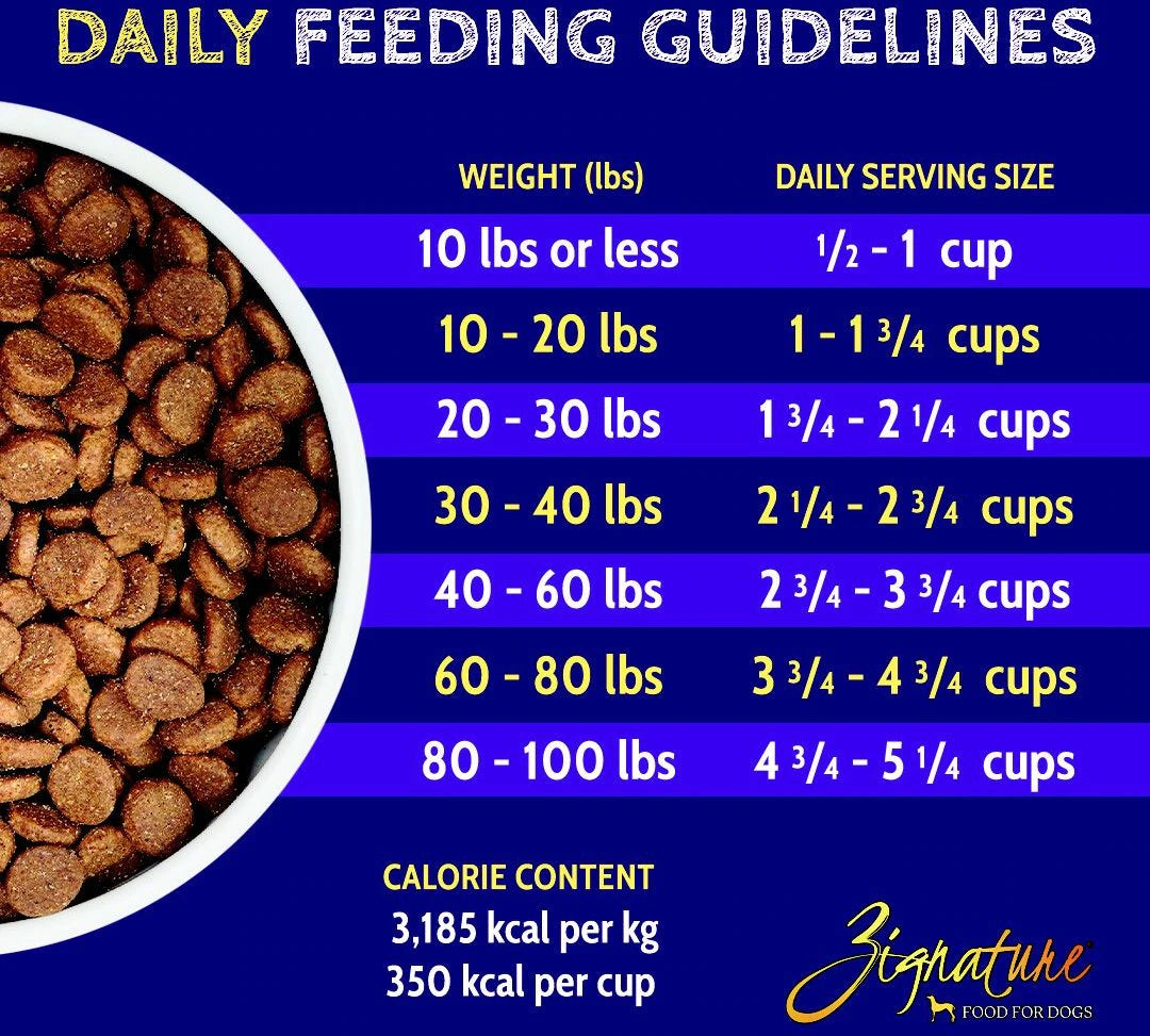 Zignature Turkey Limited Ingredient Formula Dry Dog Food - Mutts & Co.