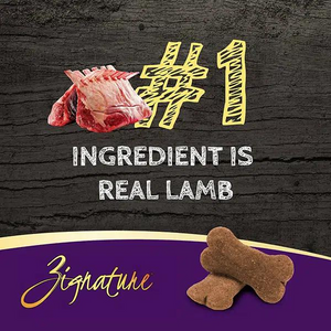 Zignature Ziggy Bars Lamb Formula Crunchy Dog Treats 12oz - Mutts & Co.