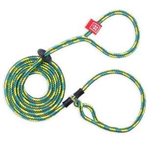 Harness Lead Rainforest - Mutts & Co.