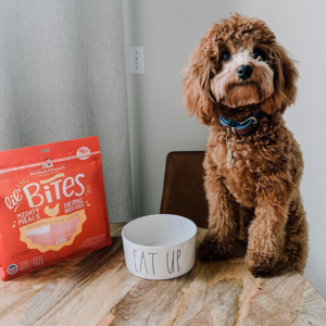 Stella & Chewy's Chicken Little Lil' Bites Freeze-Dried Dog Food 7 oz - Mutts & Co.