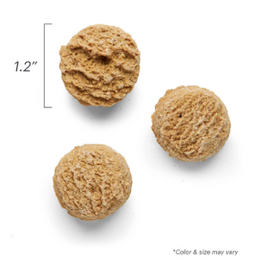 The Honest Kitchen Goat's Milk N' Cookies Pumpkin & Cinnamon Dog Treats, 8 oz - Mutts & Co.