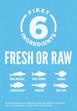 Orijen Six Fish Grain-Free Formula Dry Cat Food - Mutts & Co.