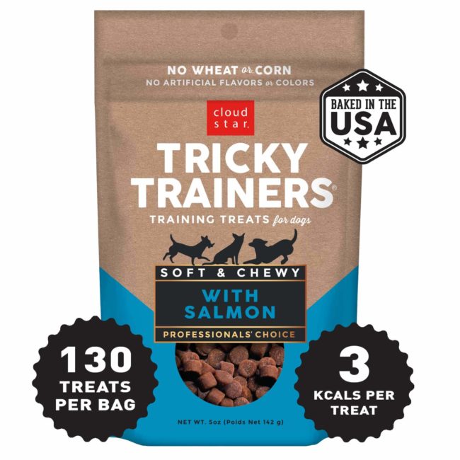 Cloud Star Chewy Tricky Trainers Salmon Flavor Dog Treats - Mutts & Co.